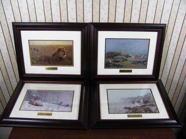 Appraisal: Four Robert Bateman Animal Prints seagulls lions antelopes mountain lions