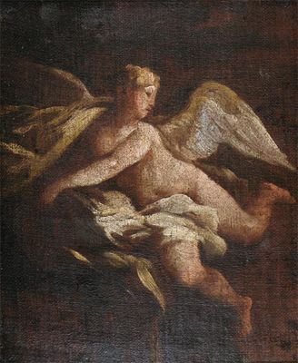 Appraisal: Italian School th Century Study of an angel Oil on