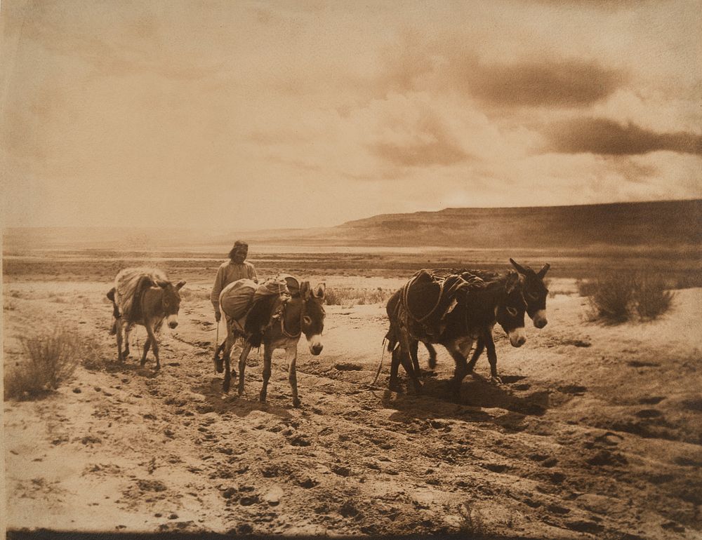 Appraisal: Edward Curtis Untitled Hopi Man and Donkeys ca Edward S