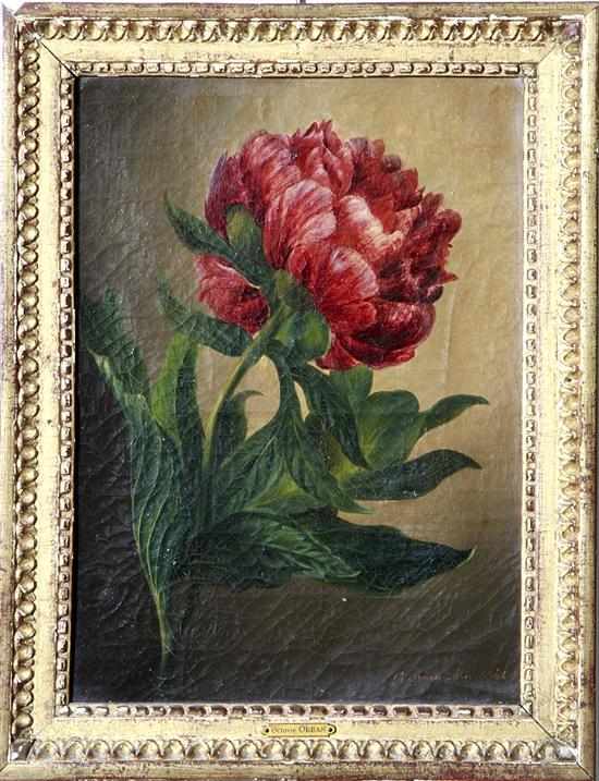 Appraisal: Octavie Orban French th century PEONY STILL LIFE oil on