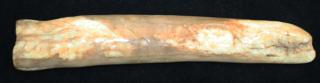 Appraisal: prehistoric Shishmaref Alaska Quinnyk fossil walrus ivory pipe length prehistoric