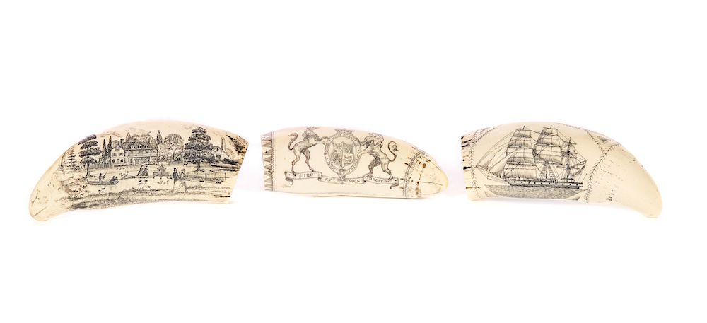 Appraisal: Reproduction Scrimshaw Whales Tooth Carvings Measures tall x wide Good