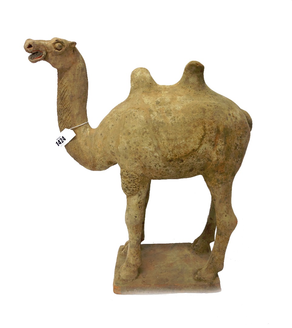 Appraisal: A Chinese pottery model of a bactrian camel Tang dynasty