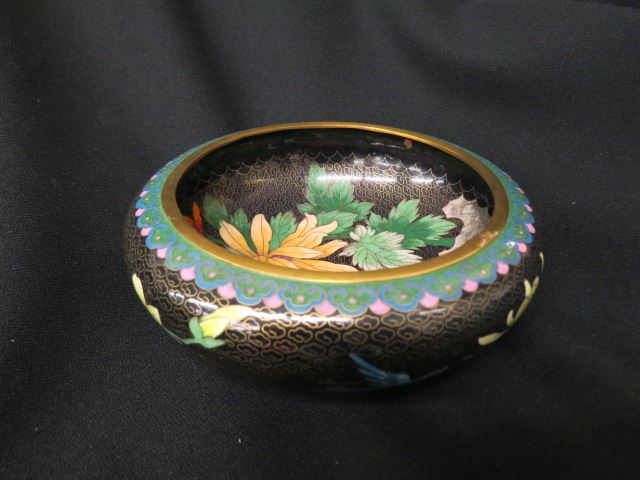 Appraisal: Chinese Cloisonne Bowl bird and floral on black diameter excellent