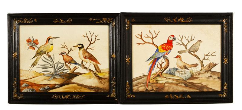 Appraisal: - Pair of Antique Ornithological Paintings W C Pair of