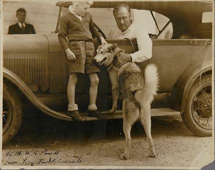 Appraisal: ROOSEVELT FRANKLIN D PHOTOGRAPH SITTING IN CAR PETTING DOG CHIEF