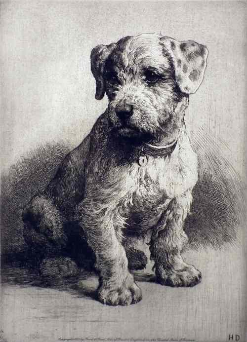 Appraisal: Herbert Thomas Dicksee - - Etching - Terrier puppy ins