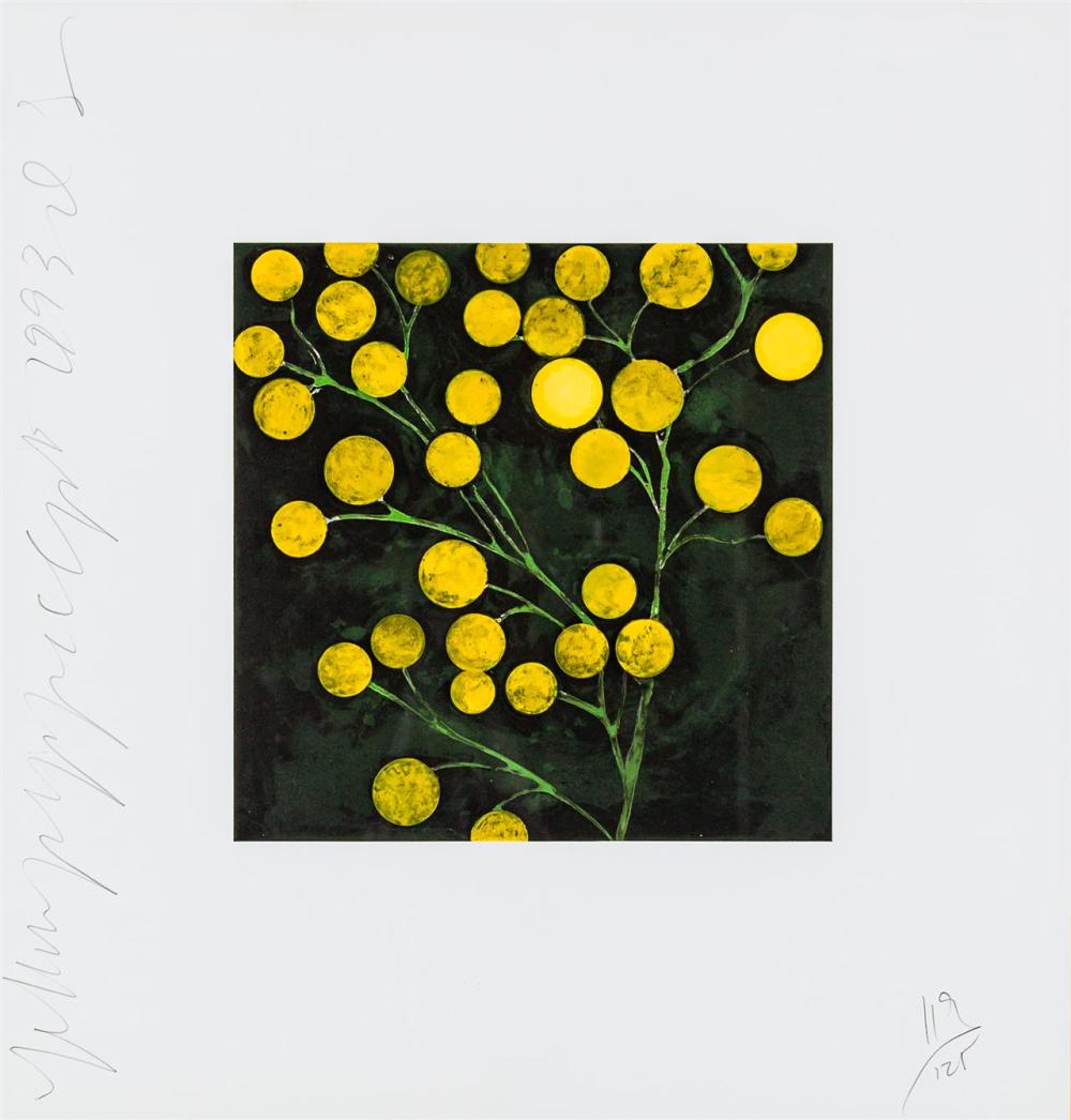 Appraisal: DONALD SULTAN American b Yellow Peppers screenprint on paper from