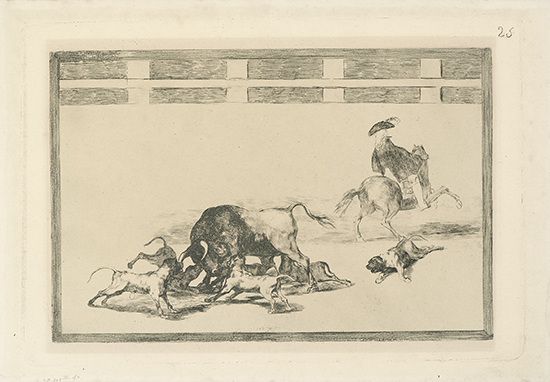 Appraisal: FRANCISCO JOS DE GOYA Echan Perros al Toro Etching and