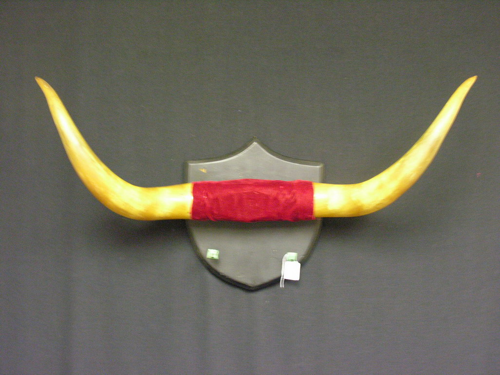 Appraisal: VINTAGE WESTERN STEER HORN WALL MOUNT Size tip to tip