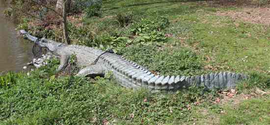 Appraisal: A lifesize bronze crocodile with mouth fitted for a water