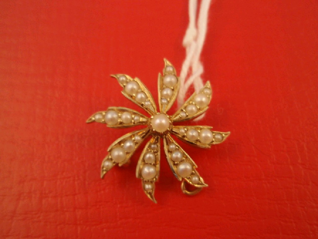 Appraisal: A small seed pearl set floral brooch with pendant loop