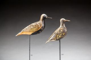 Appraisal: Golden Plover Golden PloverPrince Edward Island Canada c Old paint