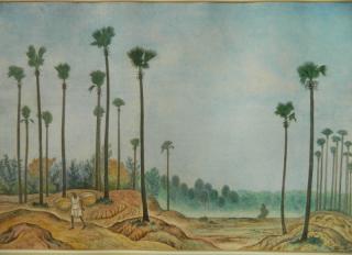 Appraisal: th c Eastern Indian School watercolor th c Eastern Indian