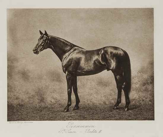 Appraisal: Hailey Clarence Thoroughbred Sires photogravure plates on thick paper sheets