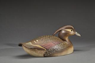 Appraisal: Wood Duck Hen William H Cranmer Wood Duck HenWilliam H