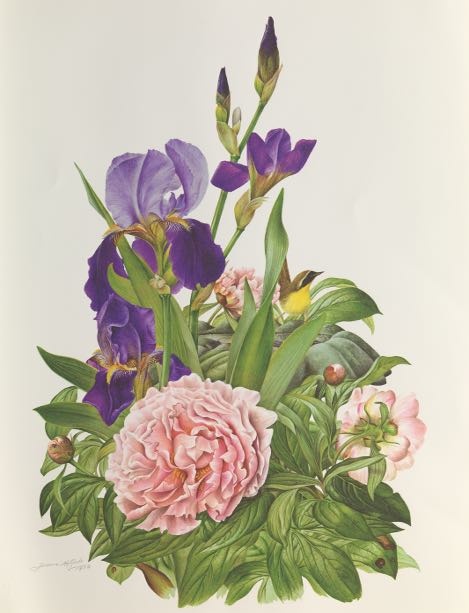 Appraisal: JEANNE HOLGATE BRITISH - x prints The Flowers of America