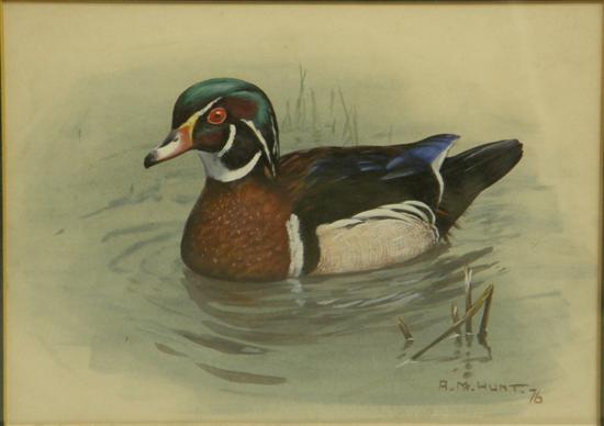 Appraisal: Alan M Hunt watercolour duck signed and dated Saleroom notice