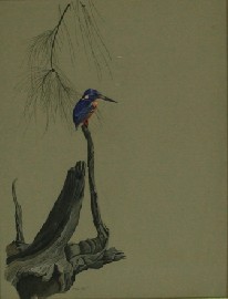 Appraisal: Humphrey Price Jones born Azure Kingfisher gouache on paper signed