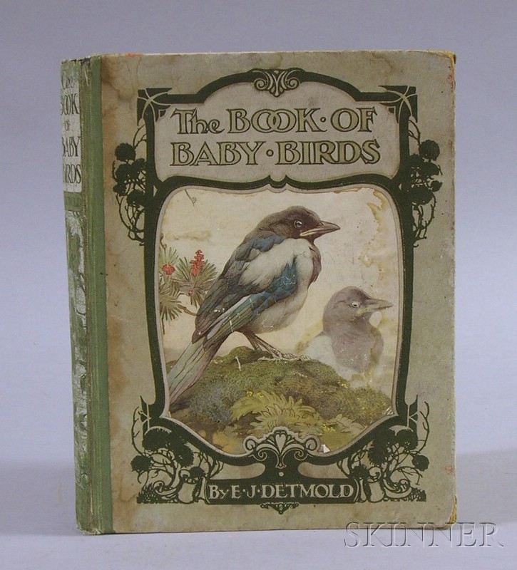 Appraisal: E J Detmold The Book of Baby Birds Hodder Stoughton