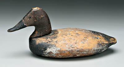 Appraisal: Early canvasback duck decoy flattened oval body possibly Havre de