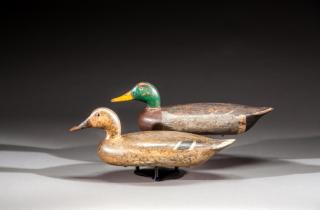 Appraisal: Mallard Pair by Charles Schoenheider Sr Mallard PairCharles Schoenheider Sr