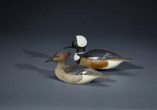 Appraisal: Miniature Hooded Merganser Pair John A Hillman Miniature Hooded Merganser