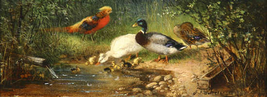 Appraisal: Julius Scheuerer German - Birds Gathering at the Stream Signed