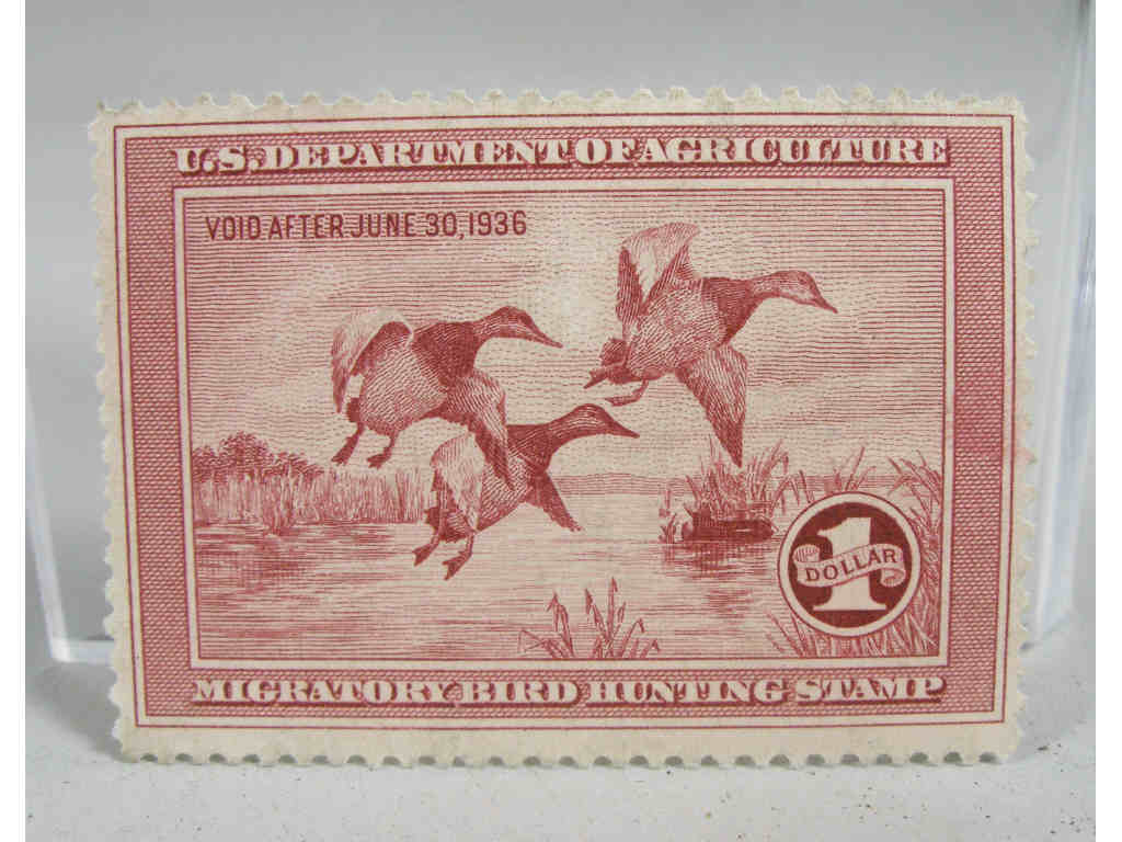 Appraisal: Unused Federal Duck Stamp - Fine condition with small RW