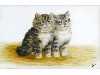 Appraisal: BESSIE BAMBER FL - TWO KITTENS TWO KITTENS a pair