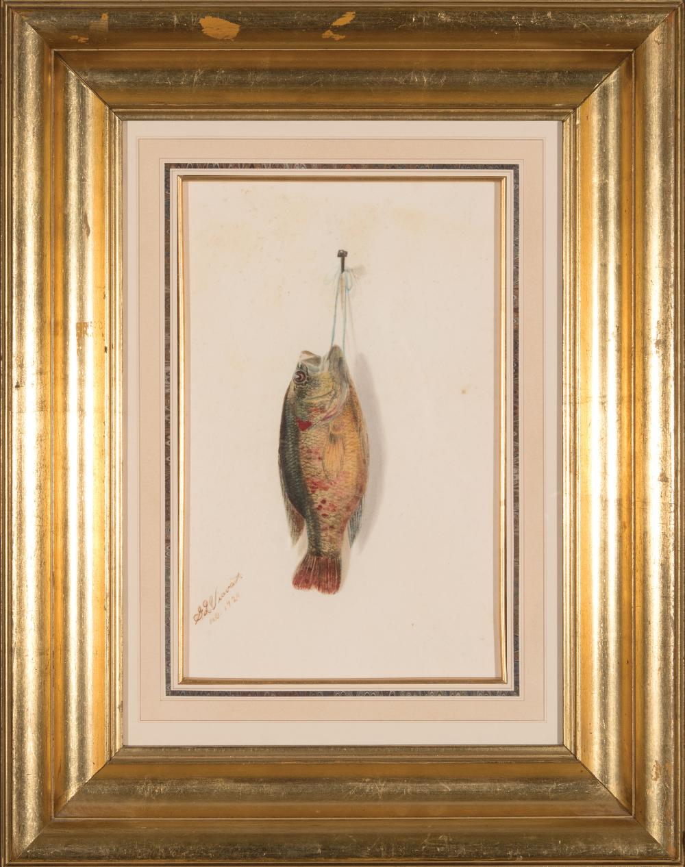 Appraisal: George Louis Viavant American Louisiana - Nature Morte Goggle-Eye Perch