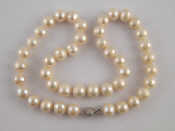 Appraisal: A South Sea cultured pearl neckalce approx cm long pearls