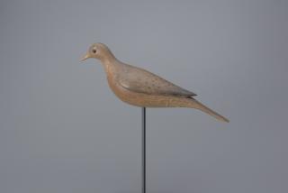 Appraisal: Mourning Dove Mark S McNair b Mourning Dove Mark S