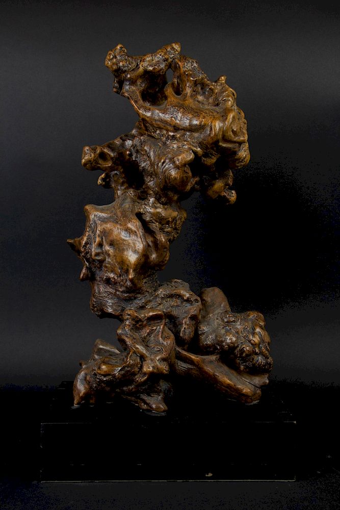 Appraisal: A Large Burl Scholar's 'Rock ' Gongshi Chinese From a