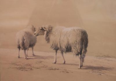 Appraisal: Eug ne Verboekhoven - Sheep signed and dated black and