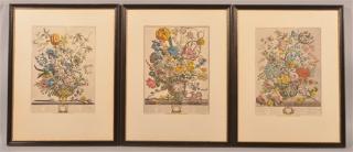 Appraisal: Robert Furber Hand Colored Floral Engravings Seven Robert Furber Hand