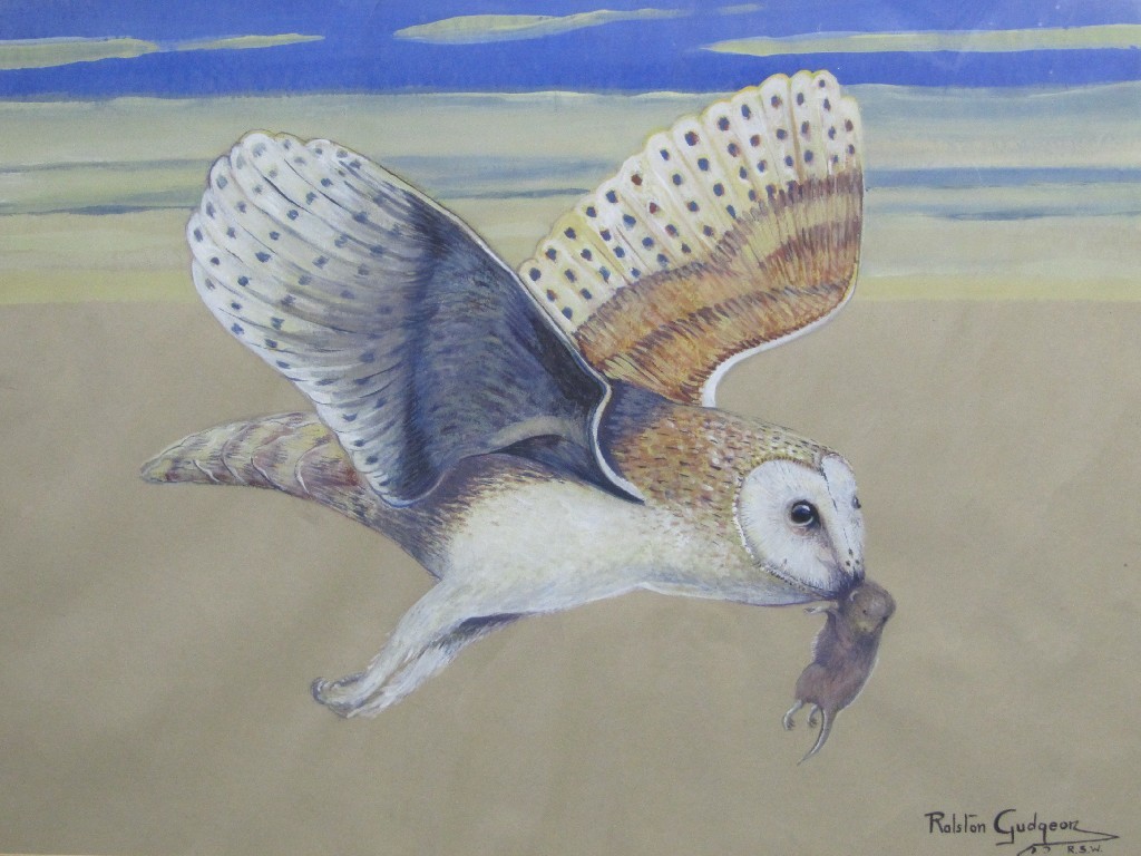 Appraisal: RALSTON GUDGEON RSW - BARN OWL WITH PREY Watercolour signed