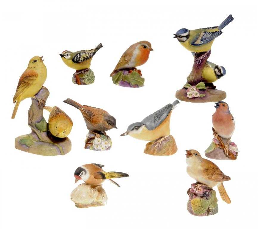 Appraisal: NINE ROYAL WORCESTER MODELS OF ENGLISH BIRDS modelled by Eva