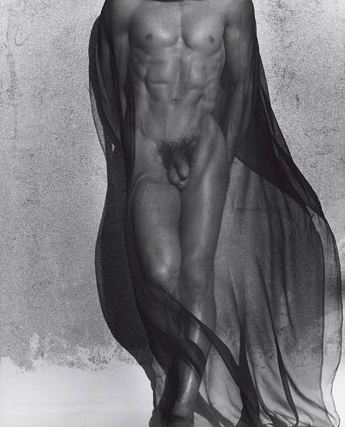 Appraisal: Herb Ritts American - Male Torso with Veil Full Length