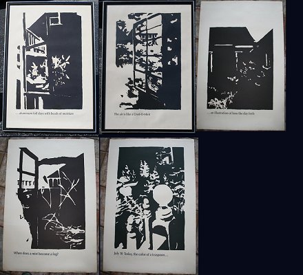 Appraisal: DASH Robert American - ''The Garden Suite'' Portfolio Lithographs completed