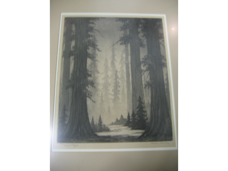 Appraisal: HAROLD LUKENS DOOLITTLE AMERICAN - REDWOOD GIANTS aquatint pencil signed