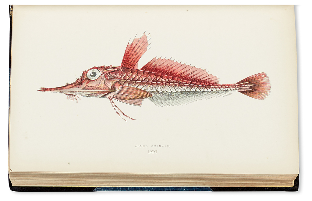 Appraisal: COUCH JONATHAN A History of the Fishes of the British