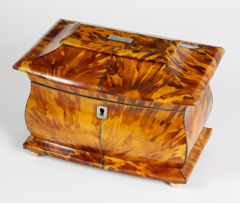 Appraisal: English Regency Tortoiseshell Double Compartment Tea Caddy th Century English