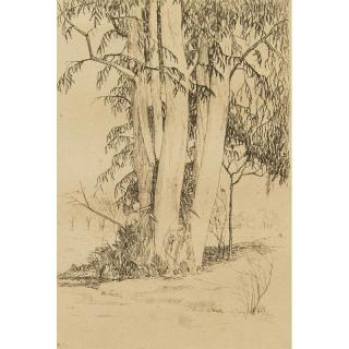 Appraisal: William Ullrich Etching Framed etching Trees William Ullrich - titled