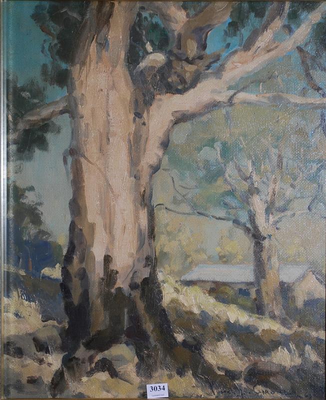 Appraisal: JOHN GARDNER MANNA GUM STONEY RISES VICTORIA OIL ON BOARD