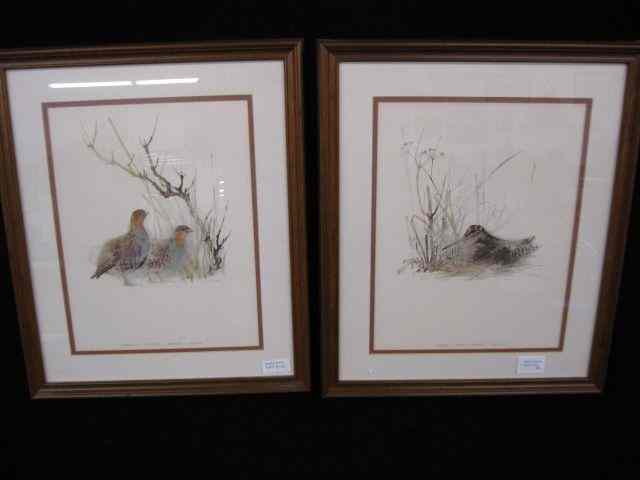 Appraisal: Pair of Bird Prints snipe partridge '' x '' image