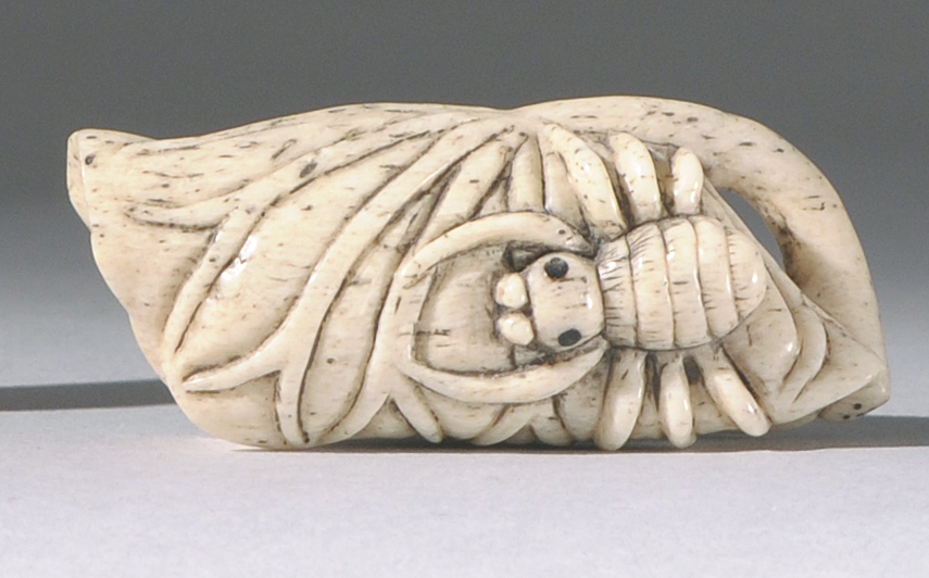 Appraisal: CARVED BONE NETSUKE Meiji PeriodIn the form of a spider