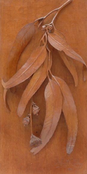 Appraisal: A FINE CARVED EUCALYPT PANEL Singed John K Blogg dated