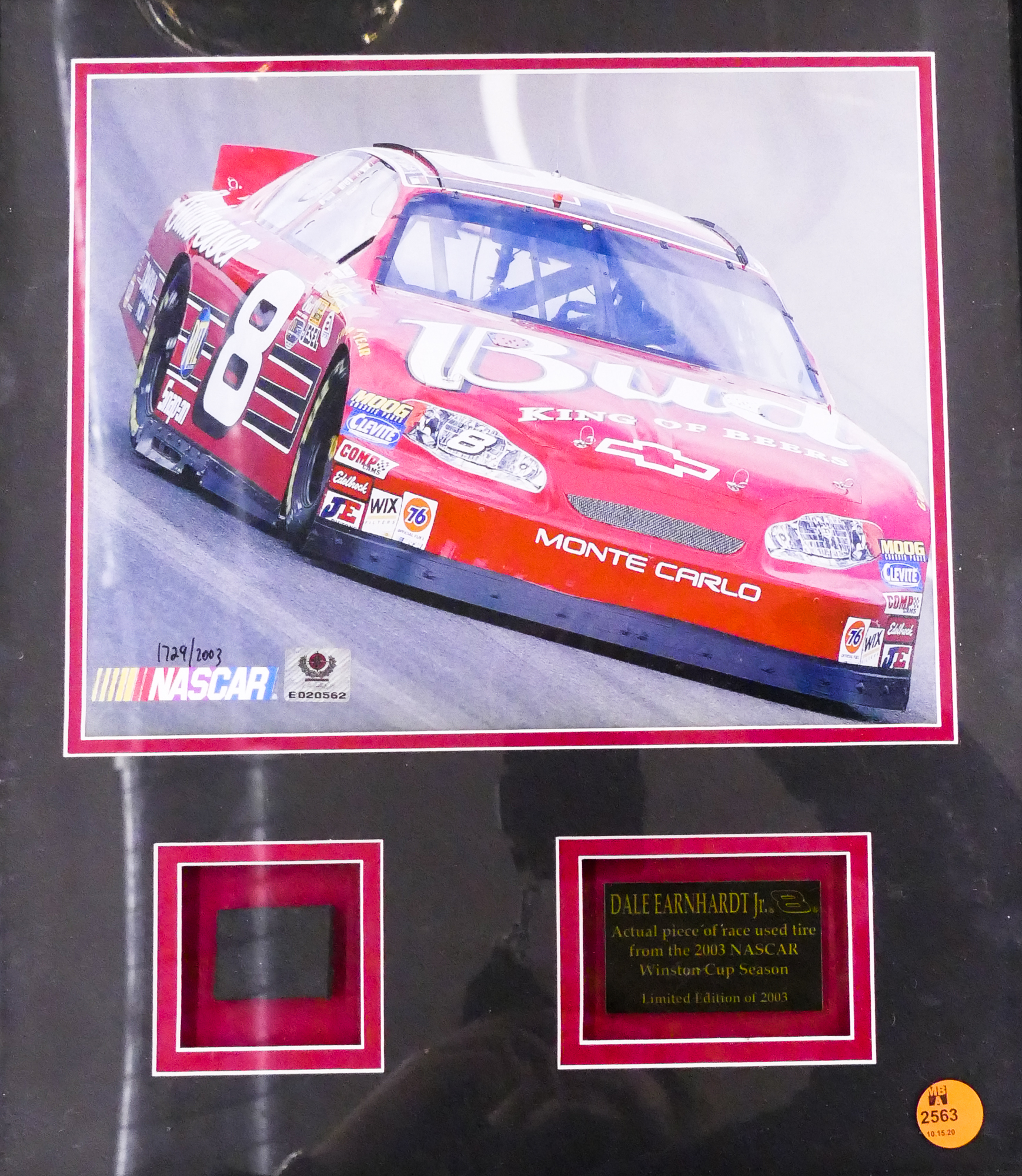 Appraisal: Dale Earnhardt Jr NASCAR Tire Fragment Framed- x ''