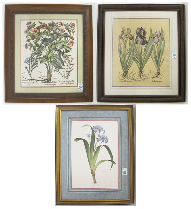 Appraisal: THREE COLOR LITHOGRAPHS one is an offset litho two with